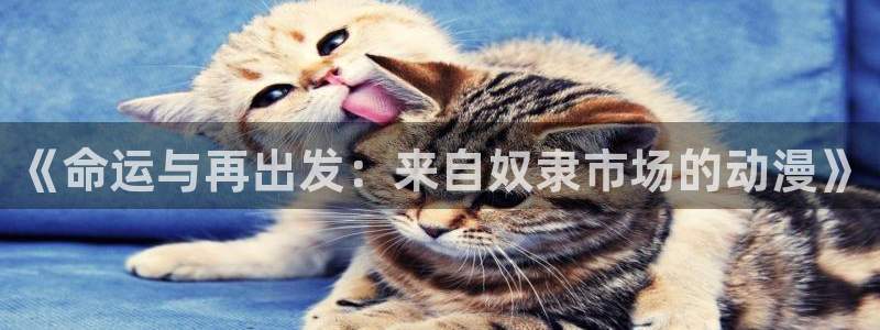 原神动漫天堂免费入口：《命运与再出发：来自奴隶市场的动漫》