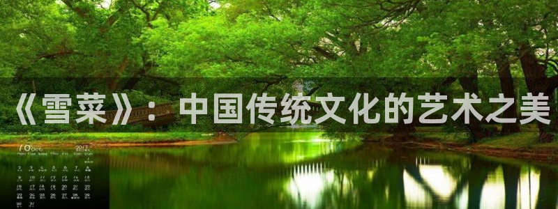 动漫天堂3d：《雪菜》：中国传统文化的艺术之美