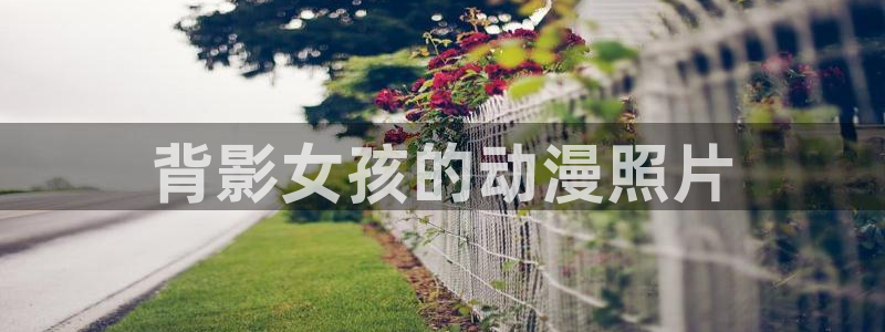 动漫天堂下载正版：背影女孩的动漫照片