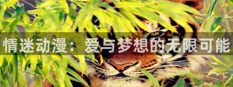 h动漫天堂：情迷动漫：爱与梦想的无限可能