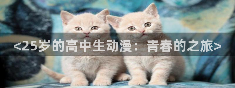 动漫天堂在线看：<25岁的高中生动漫：青春的之旅>