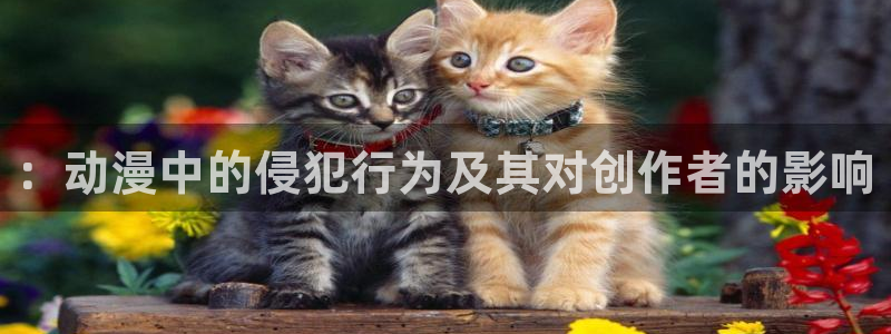 同人动漫天堂：：动漫中的侵犯行为及其对创作者的影响