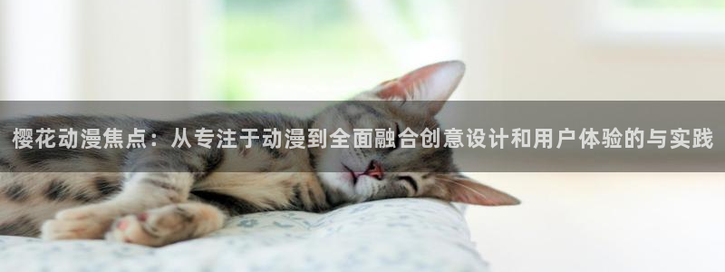 动漫天堂.：樱花动漫焦点：从专注于动漫到全面融合创意设计和用户体验的与实践