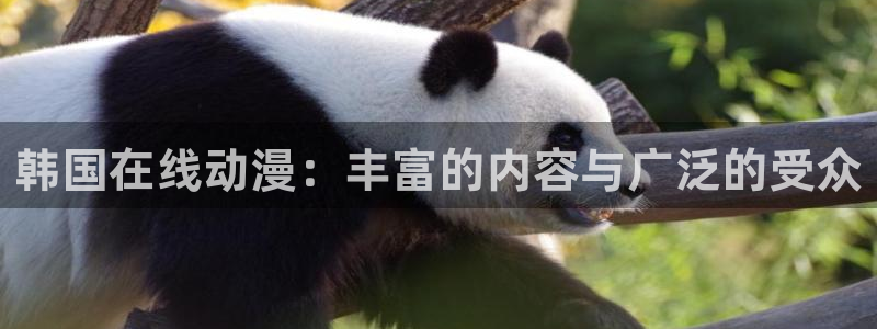 下载动漫天堂：韩国在线动漫：丰富的内容与广泛的受众