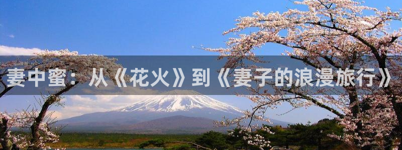 91动漫天堂：妻中蜜：从《花火》到《妻子的浪漫旅行》
