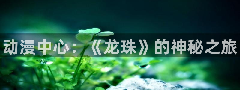 动漫天堂从哪下载安装：动漫中心：《龙珠》的神秘之旅